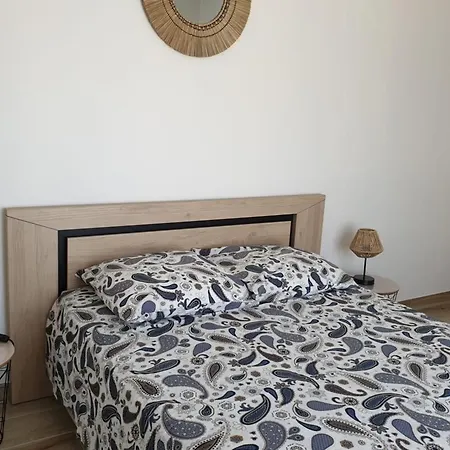 L'envol De Sion Sur L'océan Proche Océan