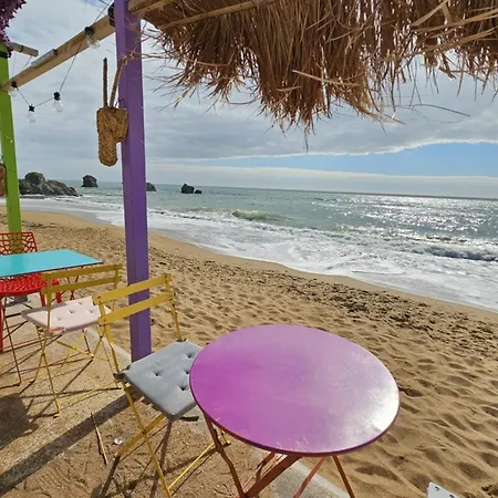 L'envol De Sion Sur L'océan Proche Océan Les Bussolleries