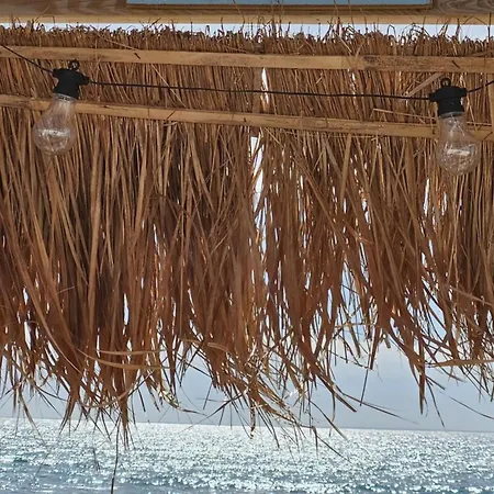 L'envol De Sion Sur L'océan Proche Océan Les Bussolleries
