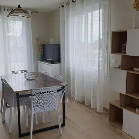 L'envol De Sion Sur L'ocean Proche Ocean