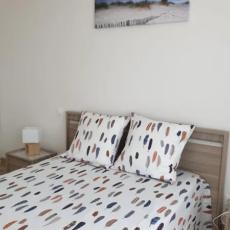 L'envol De Sion Sur L'ocean Proche Ocean