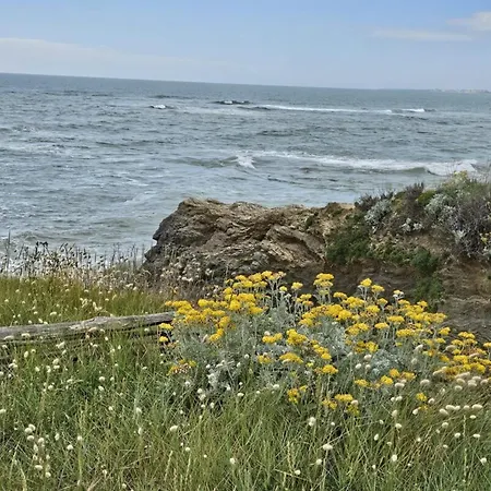 Feriehus L'envol De Sion Sur L'ocean Proche Ocean