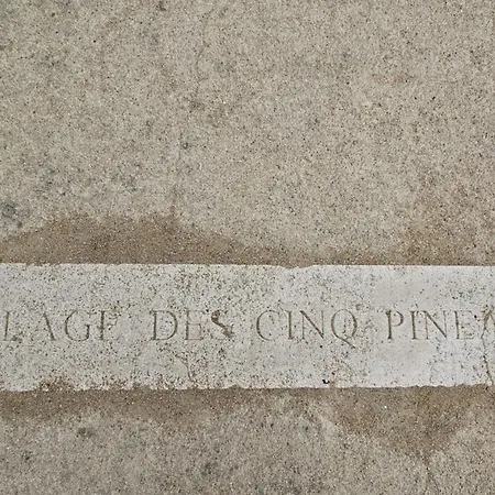 L'envol De Sion Sur L'ocean Proche Ocean