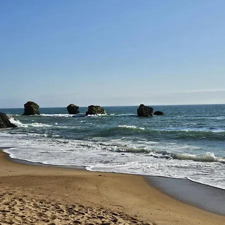 Feriehus L'envol De Sion Sur L'ocean Proche Ocean