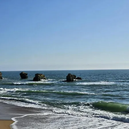 Nyaraló L'Envol De Sion Sur L'Ocean Proche Ocean *