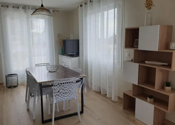 L'envol De Sion Sur L'ocean Proche Ocean