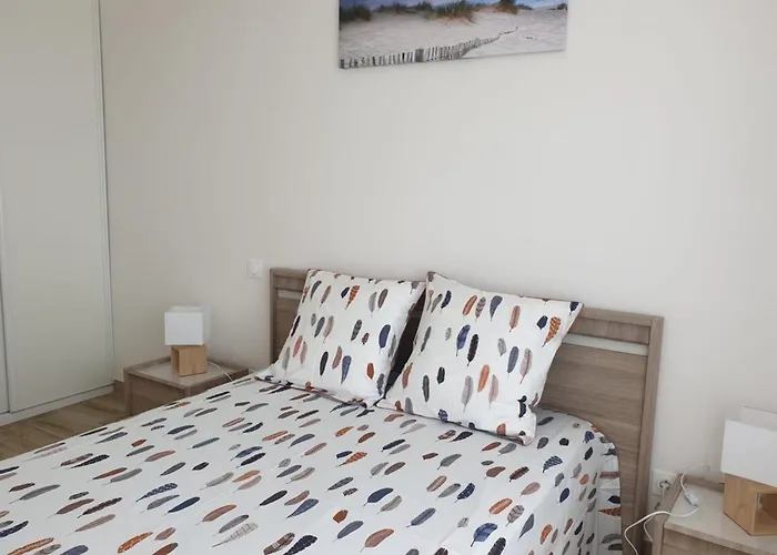 L'envol De Sion Sur L'ocean Proche Ocean