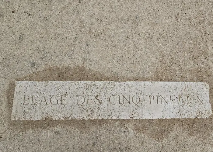 L'envol De Sion Sur L'ocean Proche Ocean