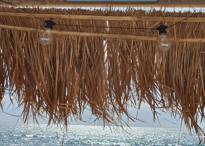 L'envol De Sion Sur L'ocean Proche Ocean Les Bussolleries