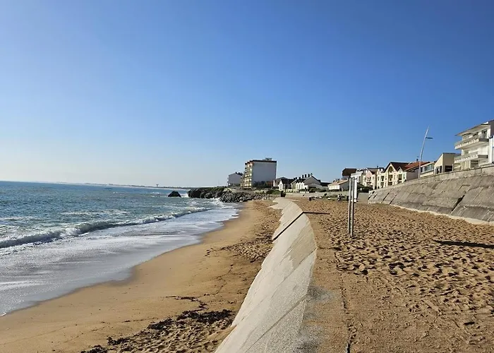 L'envol De Sion Sur L'ocean Proche Ocean Les Bussolleries